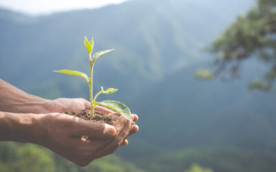 Dia do Meio Ambiente: Empresas em Sintonia com o Futuro